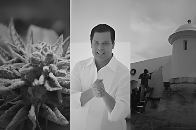 Legalización, Corrupción y Olvido